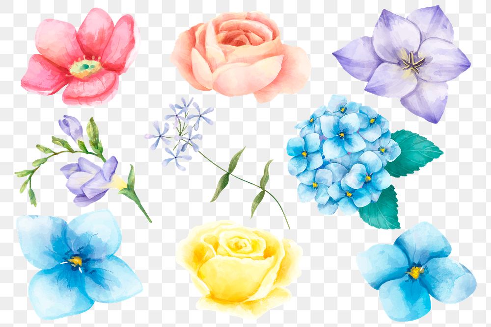 Colorful flowers sticker png hand drawn collection