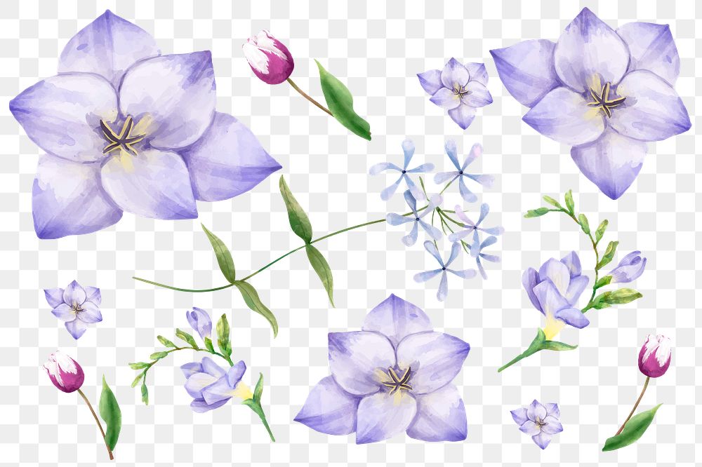Blooming purple flowers png sticker floral set