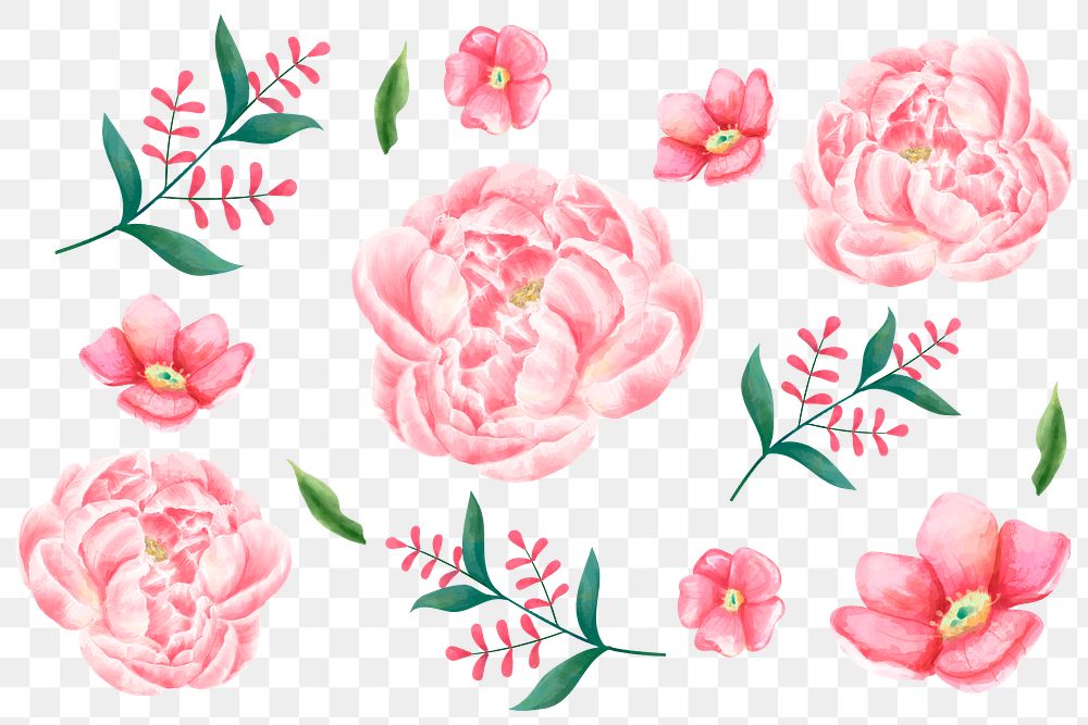 Painting pink flowers png sticker watercolor clipart set