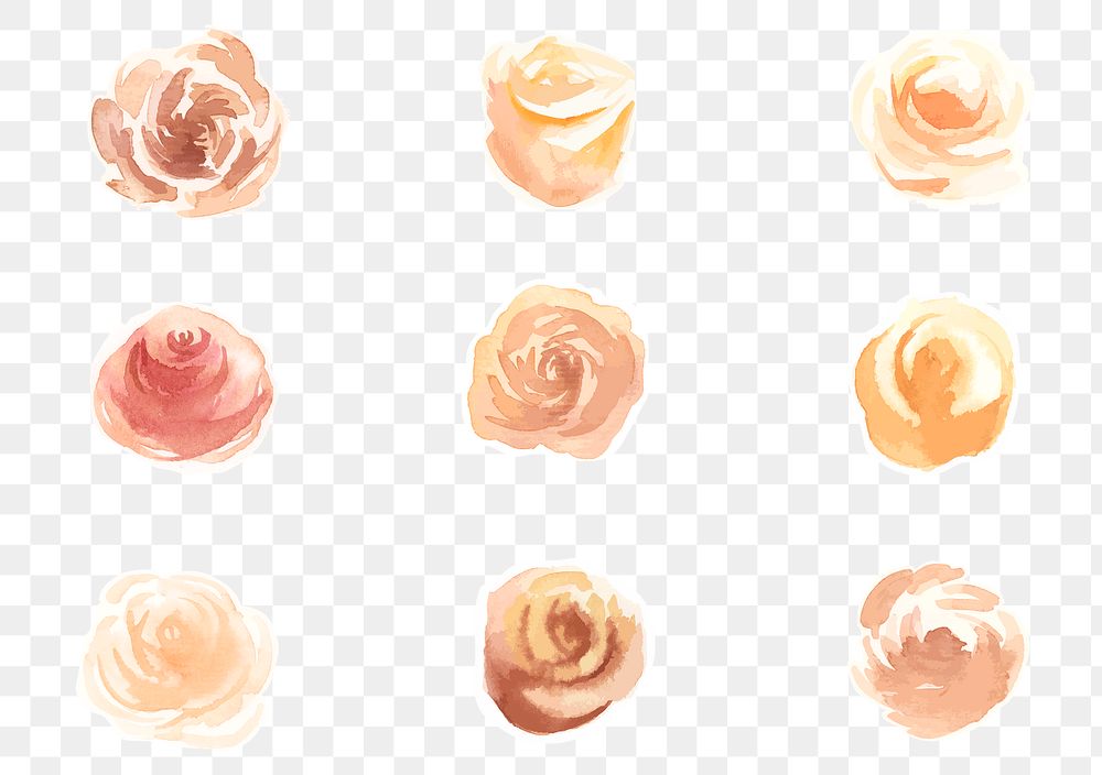 Hand drawn roses watercolor png decorative collection