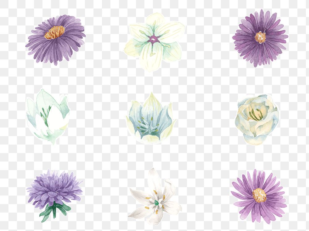 Purple and white flowers png vintage watercolor sticker set