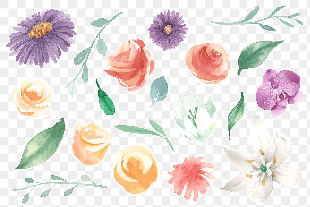 Hand drawn floral sticker png colorful watercolor journal set