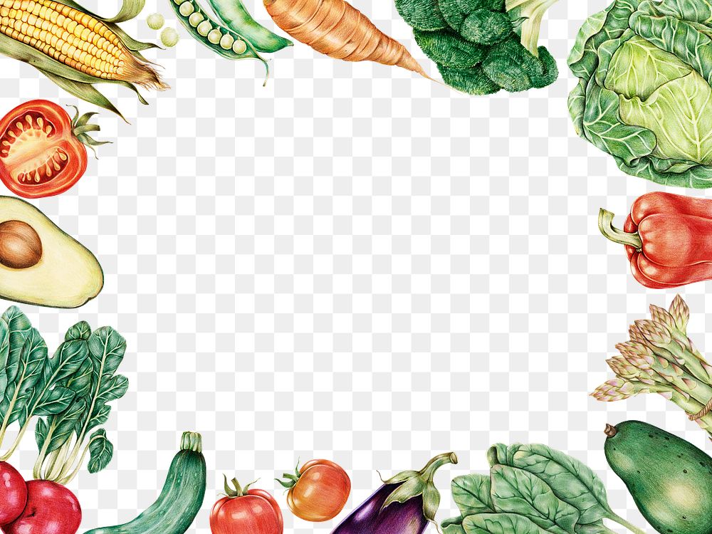 Fresh vegetables frame png hand drawn illustration
