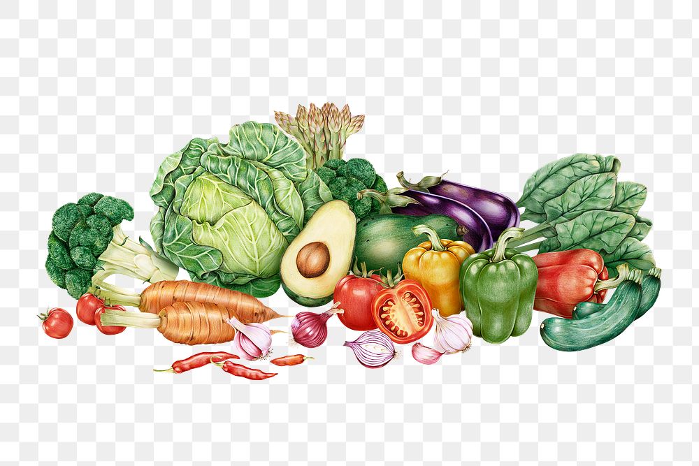 Fresh vegetables assorted png or illustration