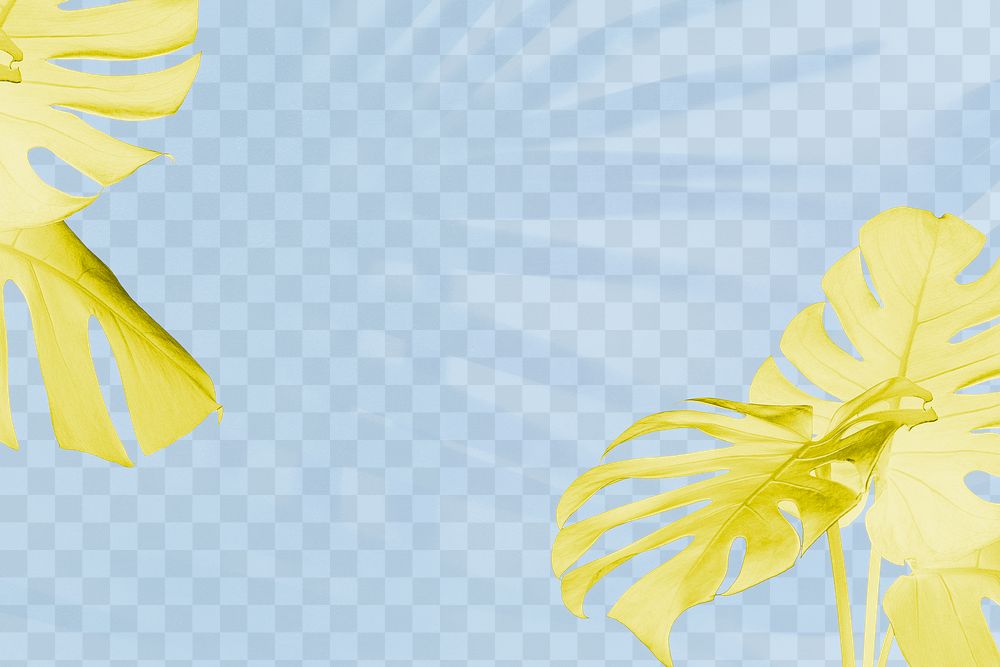 Yellow Monstera png and palm shadow leaves
