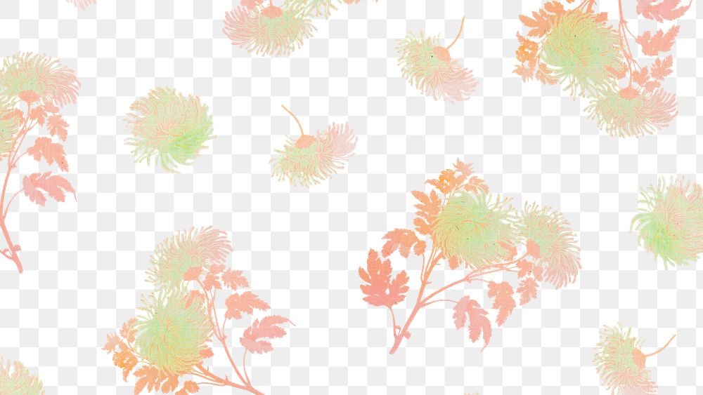 Blooming chrysanthemum flower pattern background