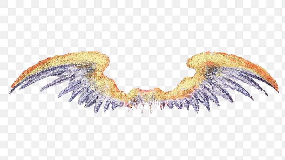Png colorful mythical wings painting ornament