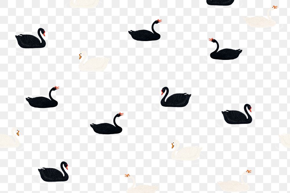 Swimming black and white geese pattern design element illustration