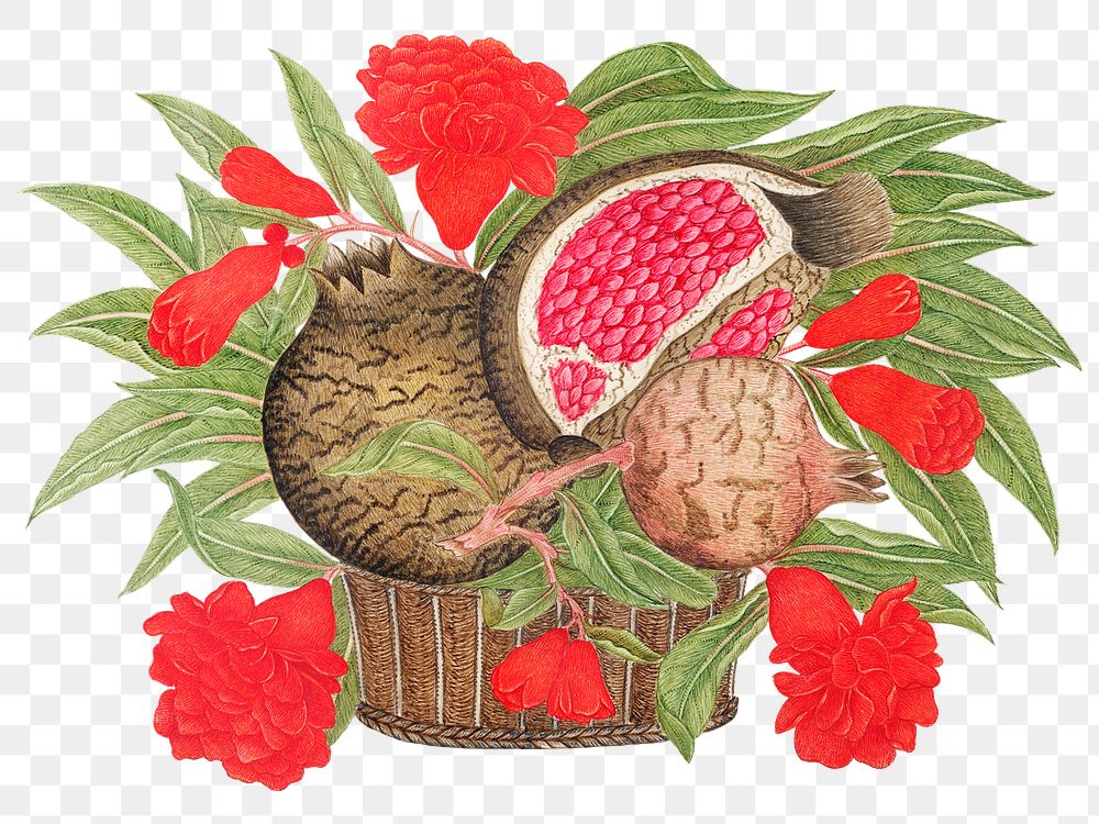 Png pomegranates and blossoms in a basket, remixed from the 18th-century artworks from the Smithsonian archive.
