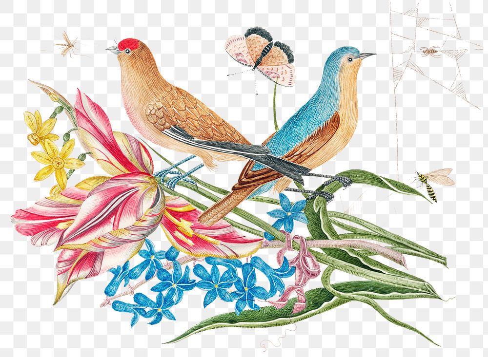 Vintage birds and flowers png illustration, remixed from the 18th-century artworks from the Smithsonian archive.