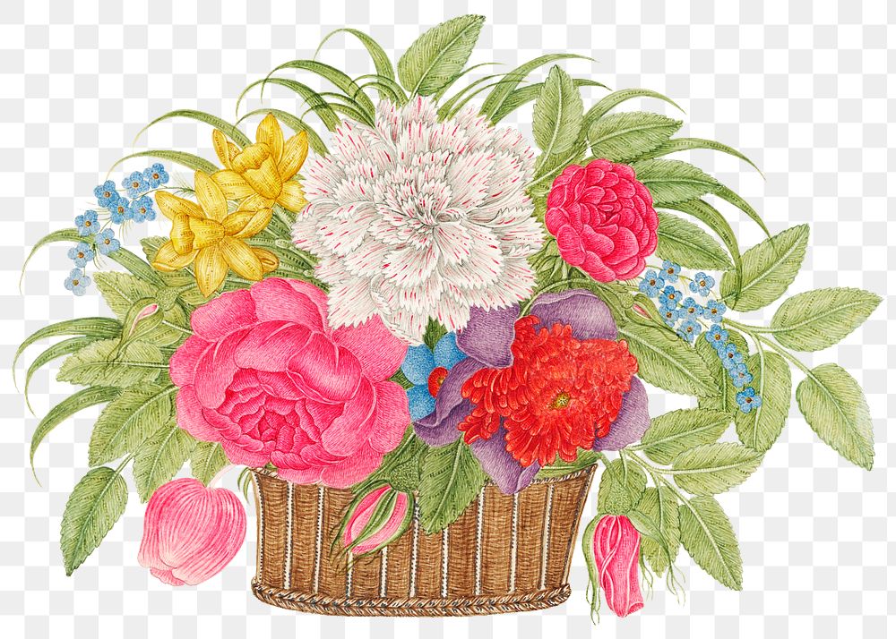 Vintage basket of flowers png illustration, remixed from the 18th-century artworks from the Smithsonian archive.