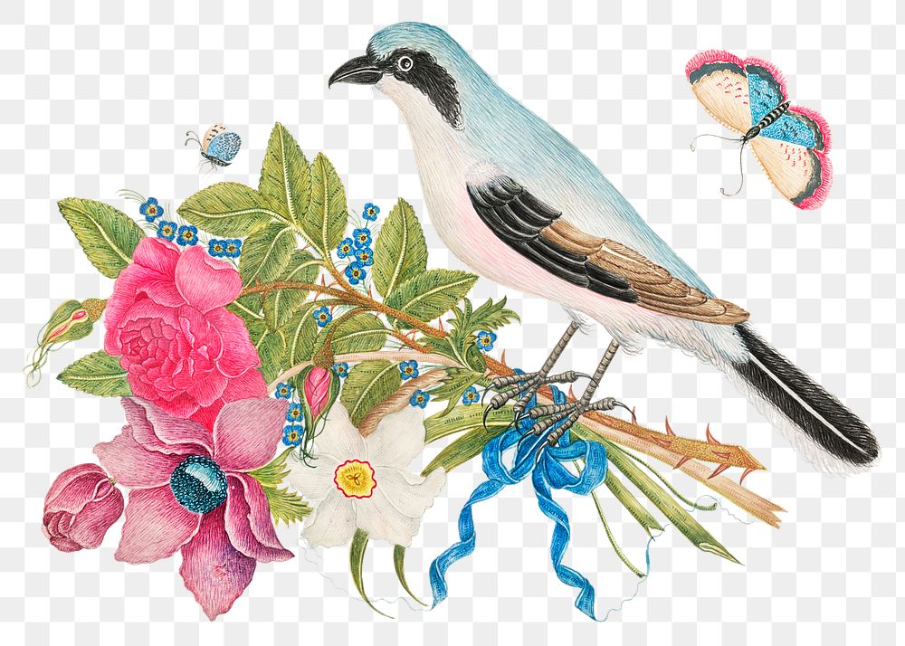Vintage bird and flowers png illustration, remixed from the 18th-century artworks from the Smithsonian archive.