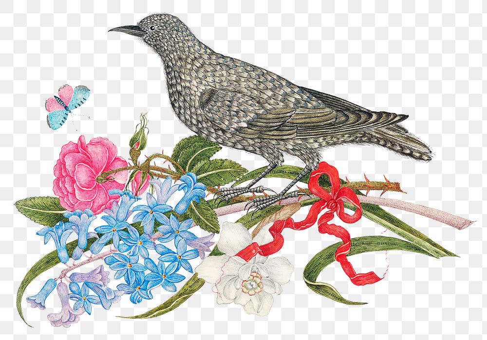 Vintage bird and flowers png illustration, remixed from the 18th-century artworks from the Smithsonian archive.