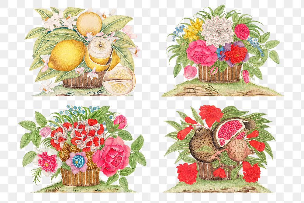 Vintage basket of flowers and fruits png illustration set, remixed from the 18th-century artworks from the Smithsonian…