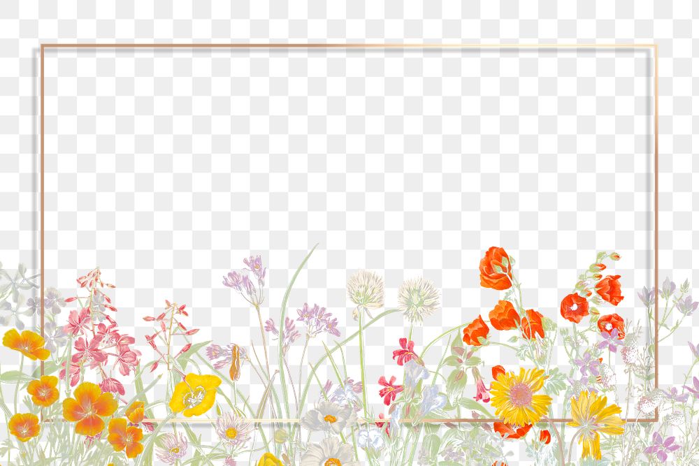 Floral frame png blooming flowers illustration