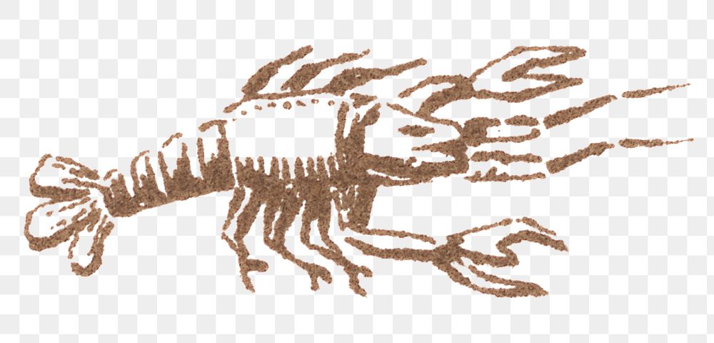 Classic png lobster icon vintage illustration