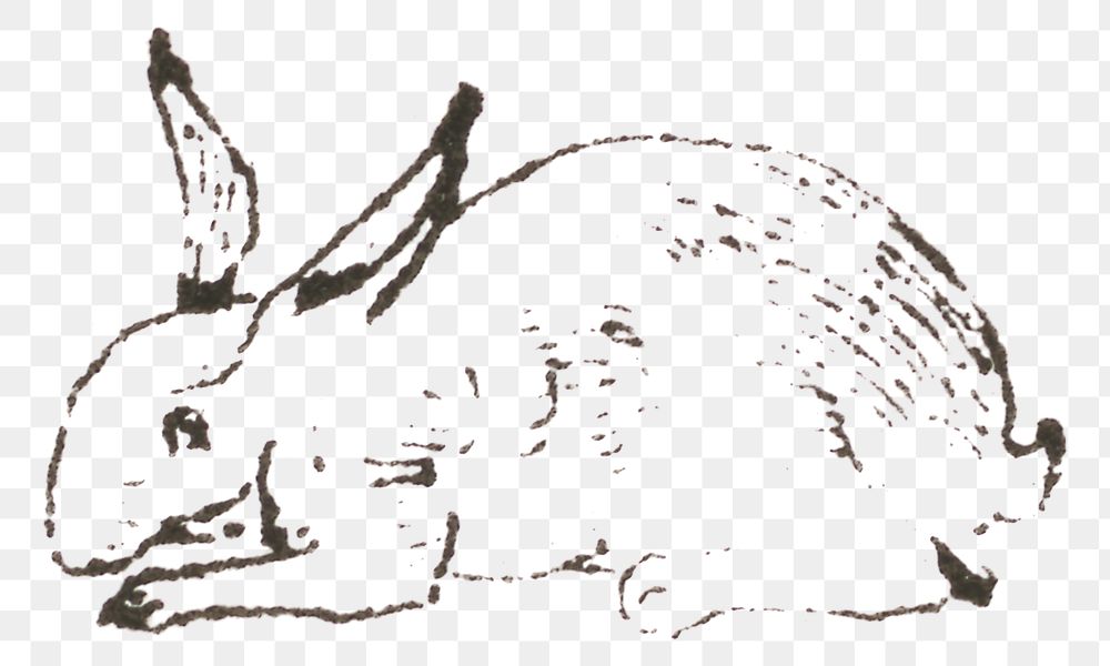 Vintage png rabbit engraving hand drawn illustration