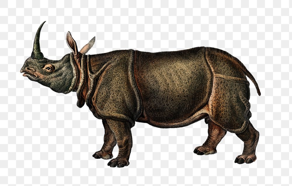 Vintage Indian rhinoceros png wild animal, remix from artworks by Charles Dessalines D'orbigny