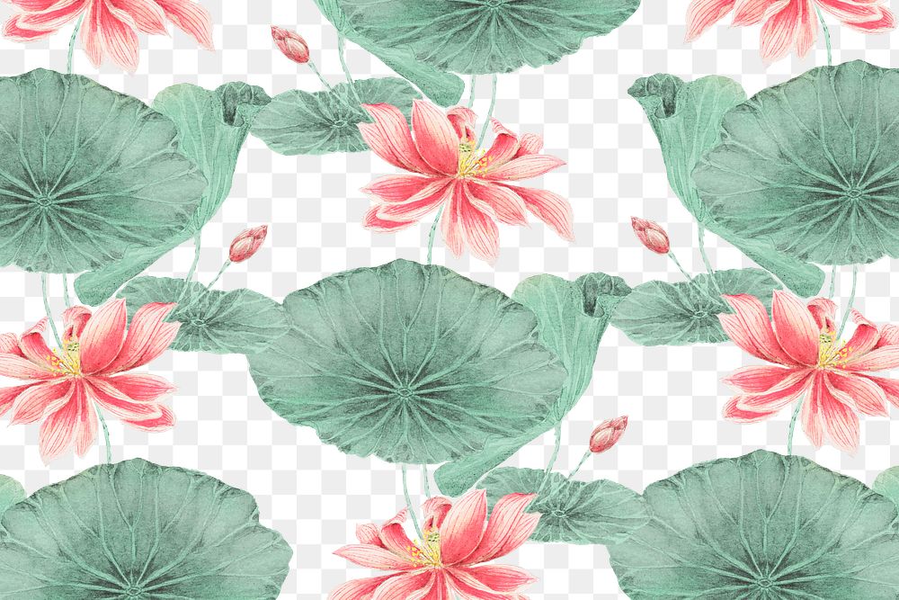 Lotus pattern botanical background png, remix from artworks by Megata Morikaga