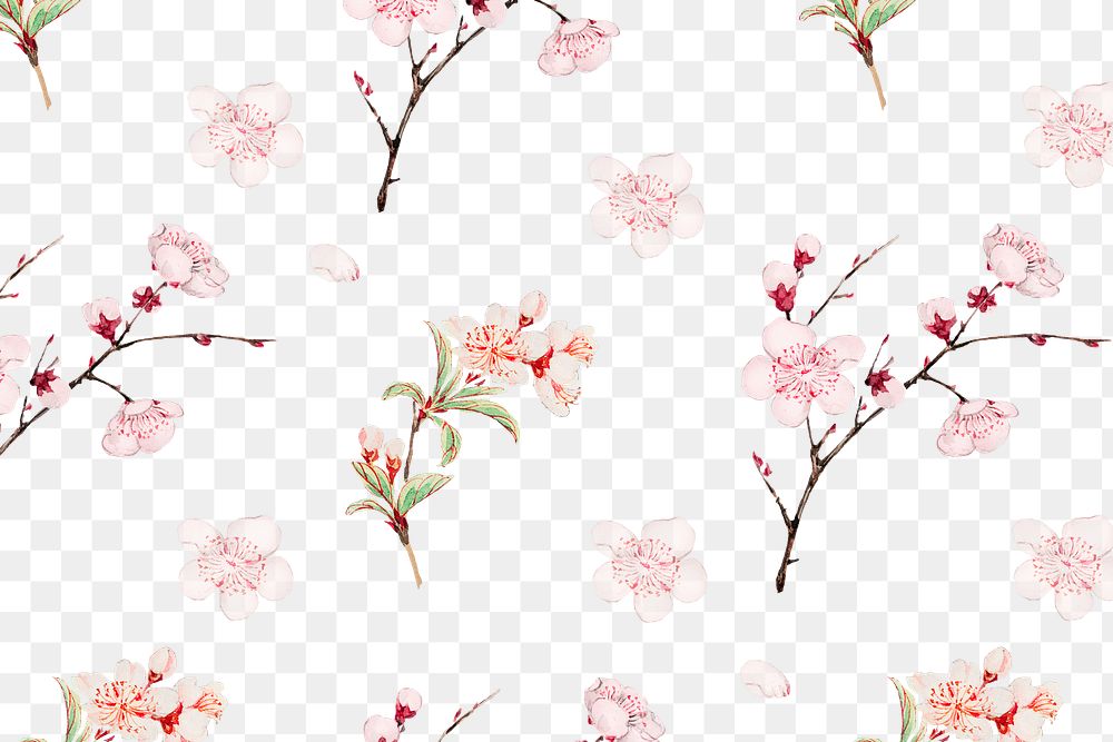 Pink plum blossom pattern transparent background, remix from artworks by Megata Morikaga
