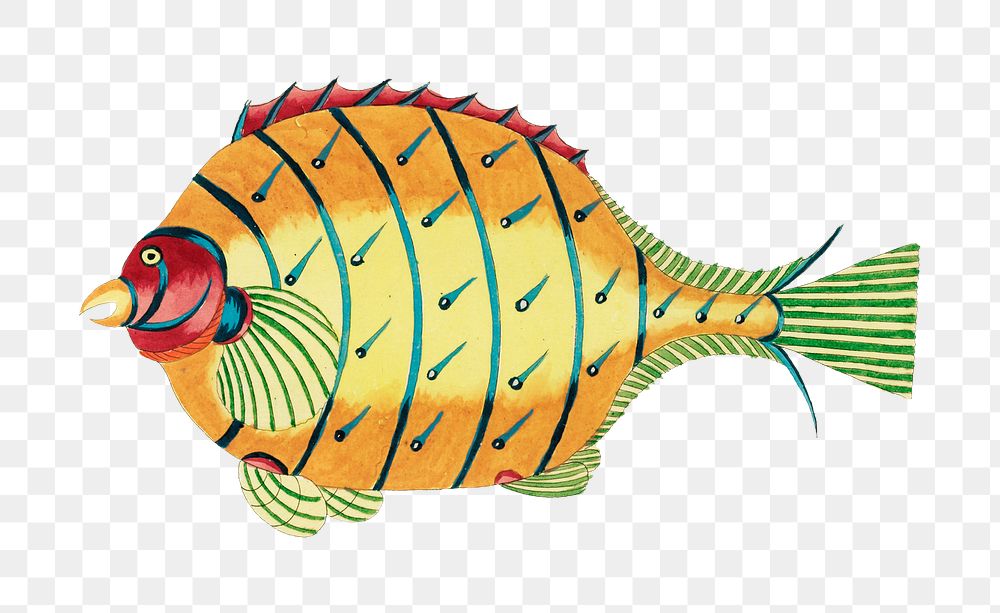 Vintage fish png sticker, aquatic animal surreal illustration, remix from the artwork of Louis Renard