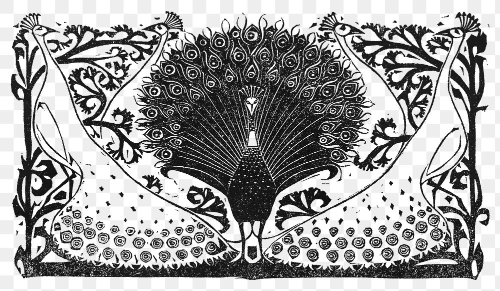 Peacocks png in black fruit print, remixed from artworks by Gerrit Willem Dijsselhof