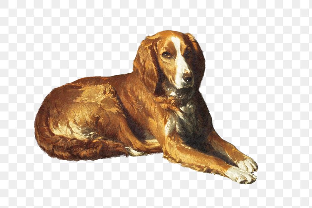 Painting of a calm brown dog transparent png