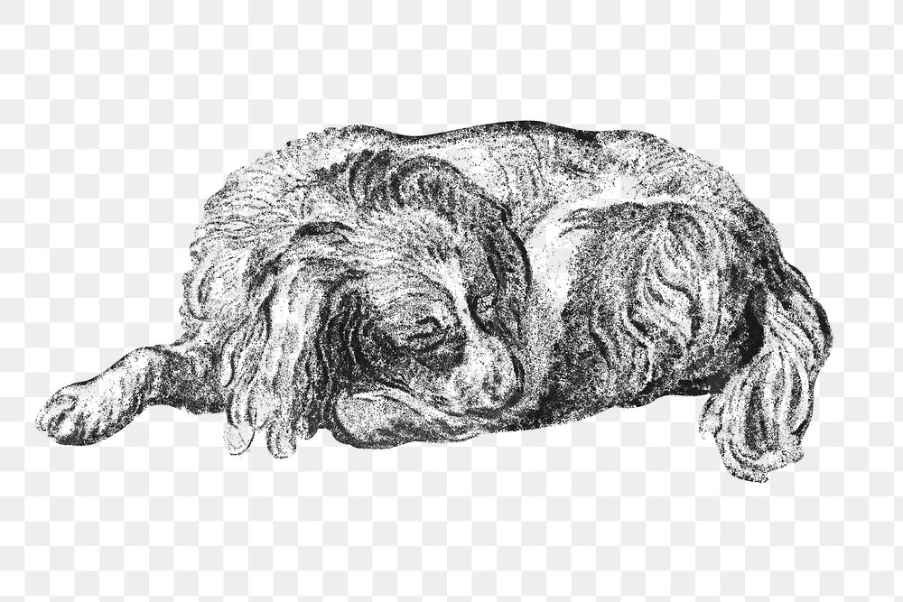 Hand drawn lying dog illustration