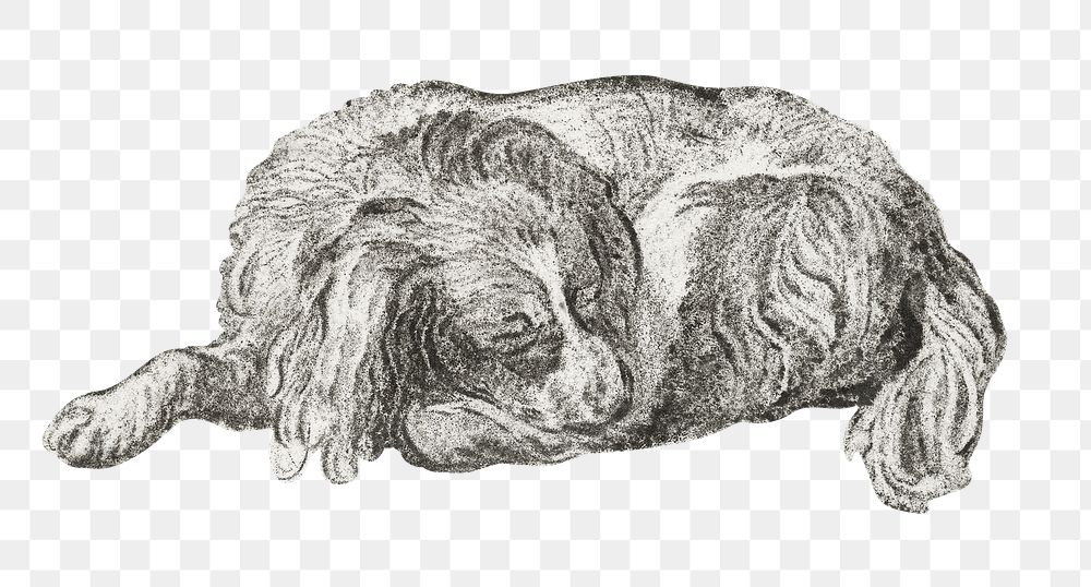 Hand drawn lying dog illustration