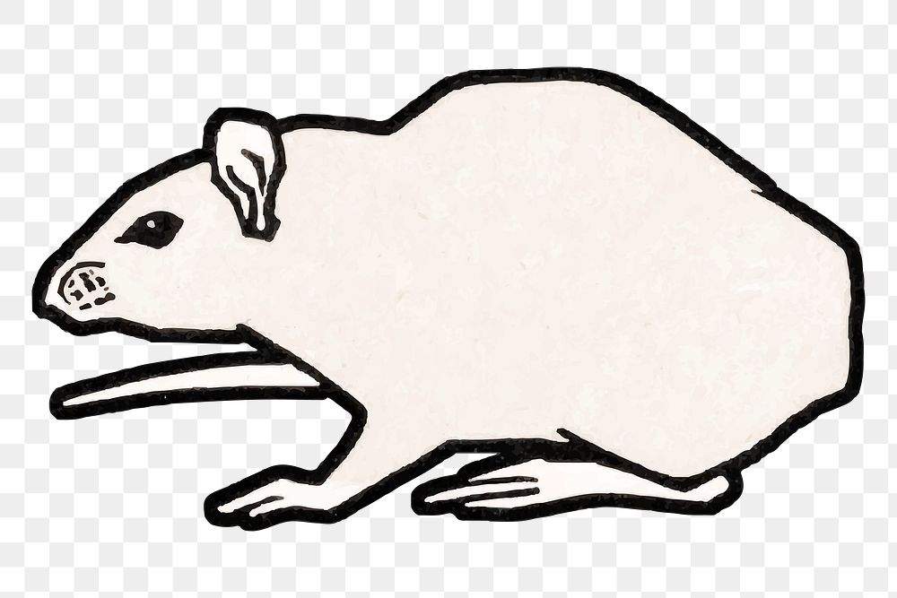 Retro white rat png sticker animal 