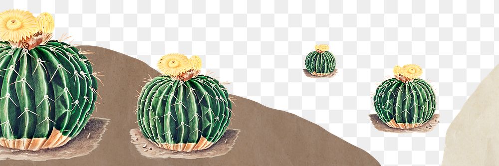 Vintage green cactus with flower background design element