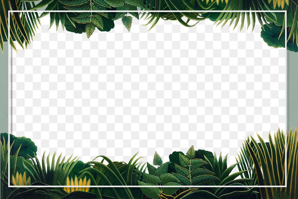 Frame png botanical border, exotic leaves, remixed from artworks by Henri Rousseau