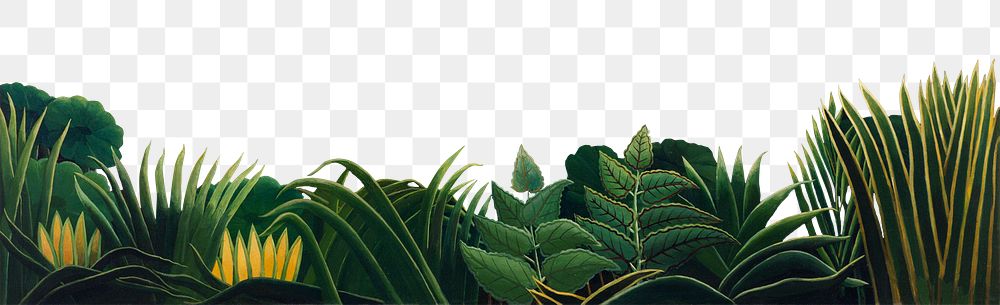 Botanical png clipart border, exotic leaves, remixed from artworks by Henri Rousseau