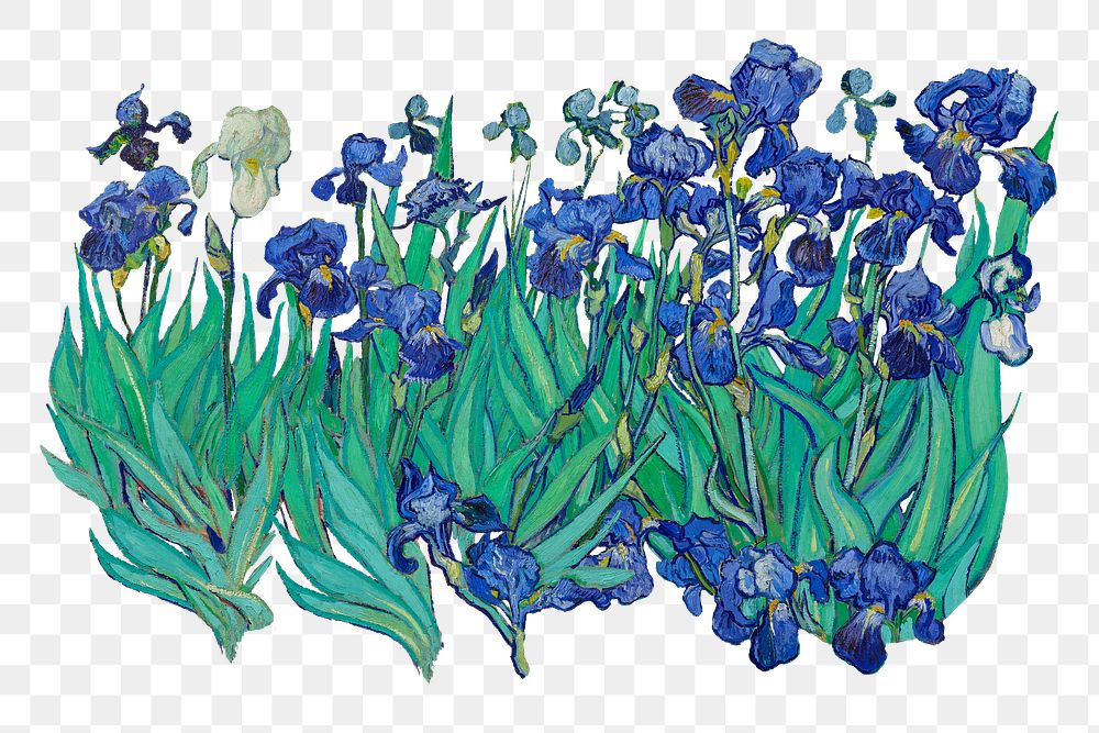 Irises flower png sticker, Van Gogh's vintage floral artwork on transparent background, remastered by rawpixel