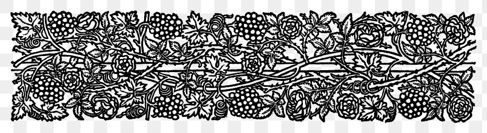 Vintage black and white grapes and foliage ornament design element illustration
