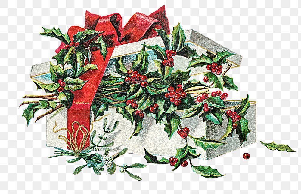 Holly leaves in a gift box transparent png