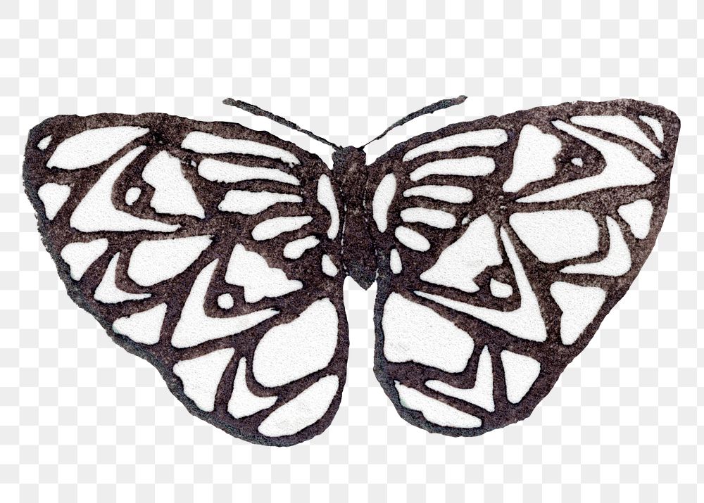 Vintage moth png clipart, hand drawn design, transparent background