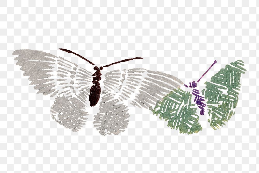 Watercolor butterfly png design element, vintage hand drawn clipart, transparent background