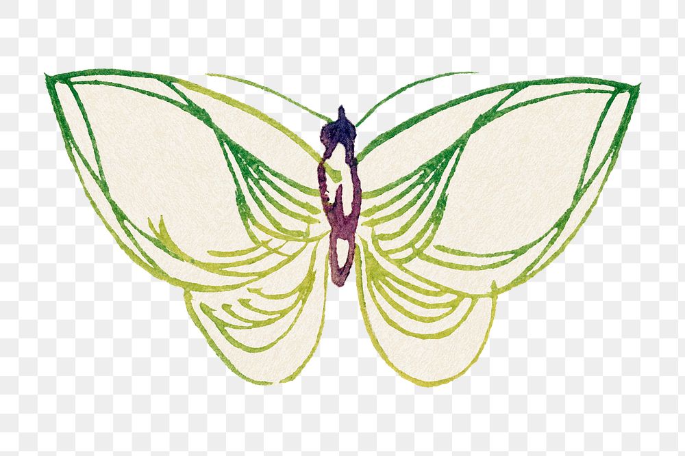 Butterfly doodle png sticker, green vintage design, transparent background