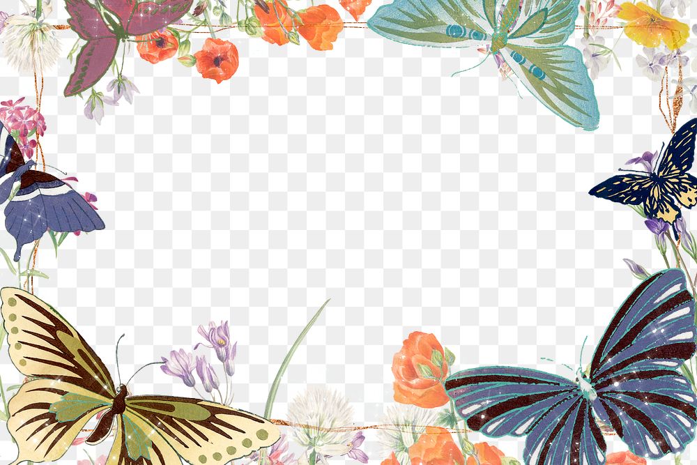 Floral butterfly png frame, colorful vintage illustration
