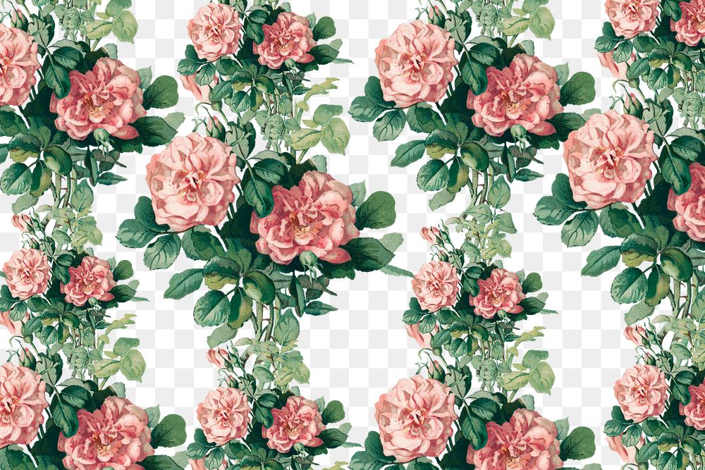 Vintage pink rose png floral pattern illustration, remix from artworks by L. Prang & Co.