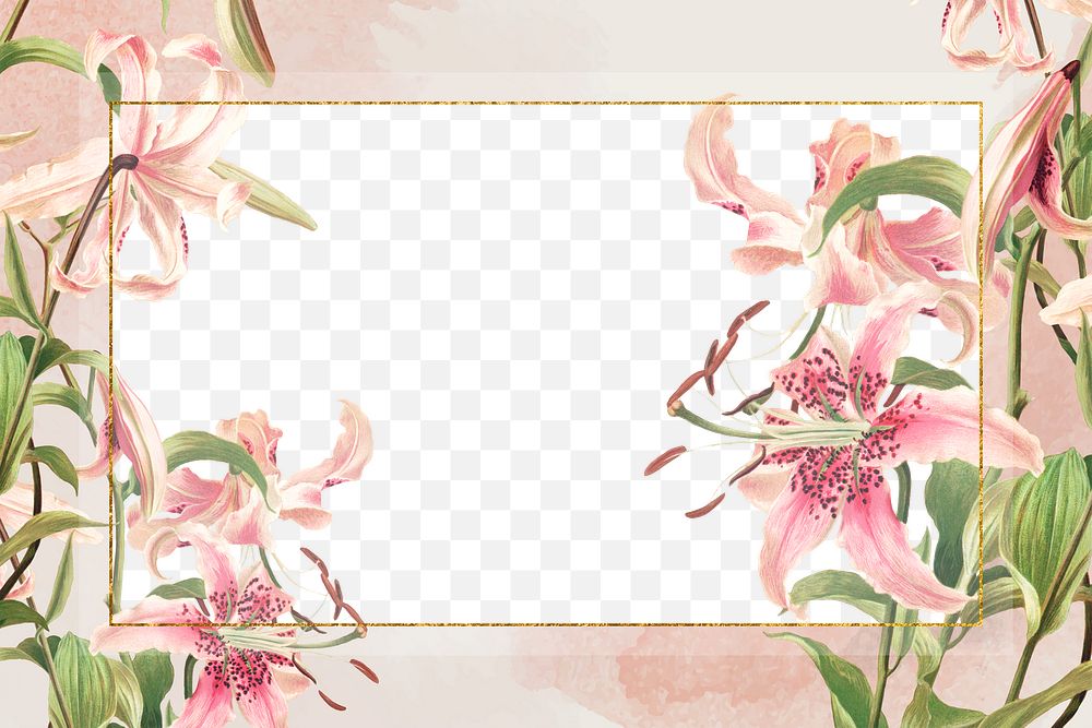 Vintage pink lilies png frame illustration, remix from artworks by L. Prang & Co.