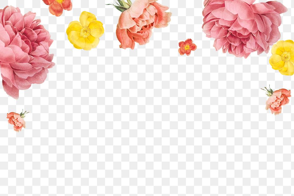 Blooming floral background design transparent png