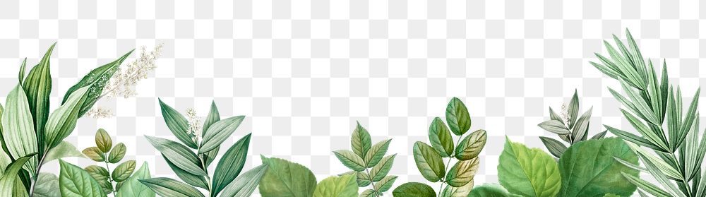 Tropical botanic leaves background illustration