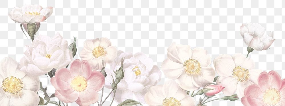 Elegant floral banner design transparent png