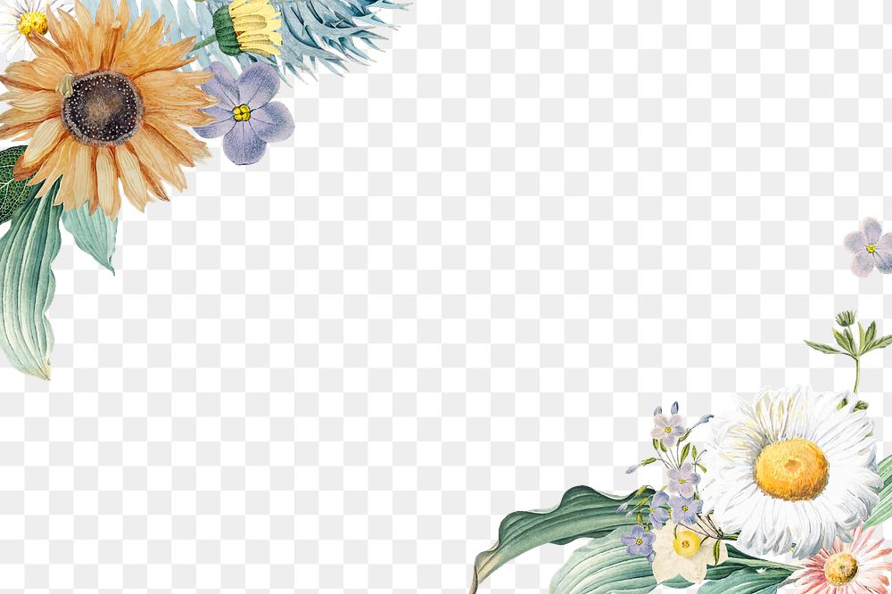 Border decorated with flowers png