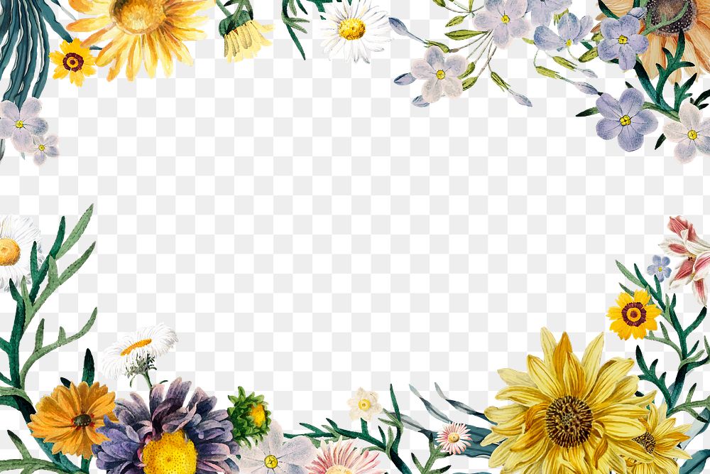 Border with flowers png floral frame