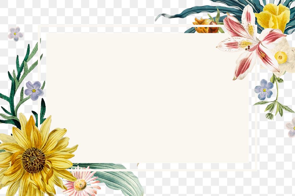 Botanical border flower illustration png 