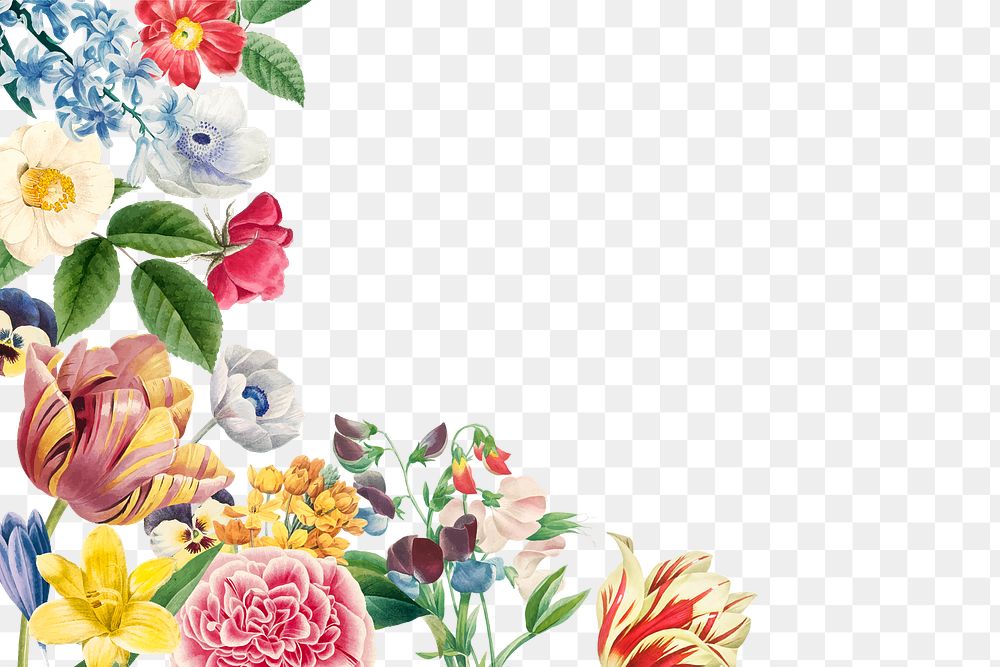 Summer floral border design element
