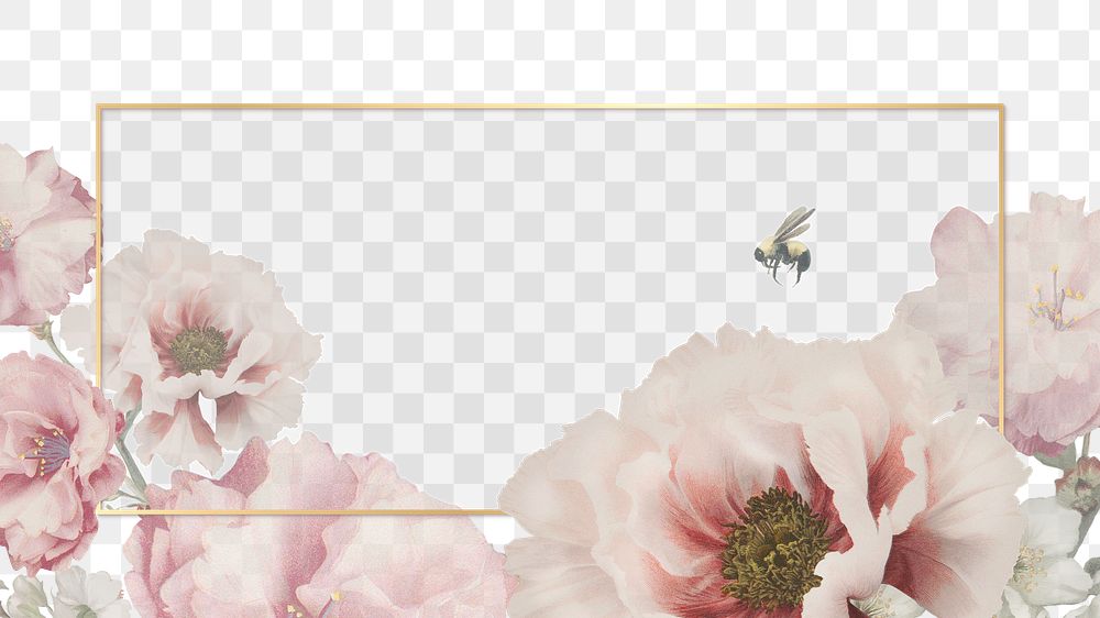 Gold frame and pink peony flower on transpatrent background
